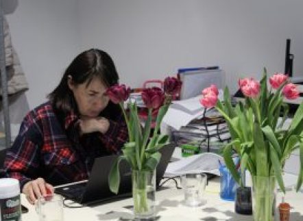 Новина СХІД SOS